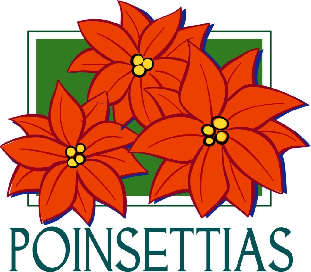 Christmas Poinsettias logo in red and green color